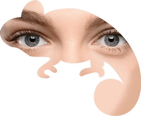 Autour du regard